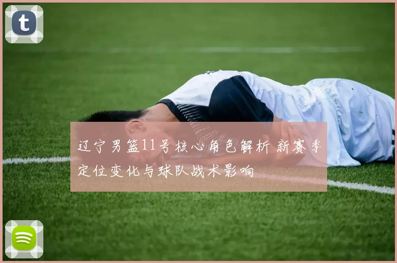 辽宁男篮11号核心角色解析 新赛季定位变化与球队战术影响