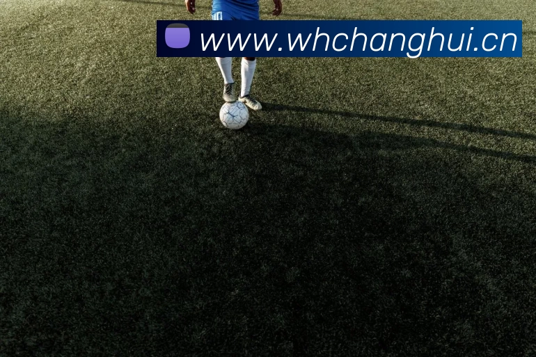 多媒体互动体验